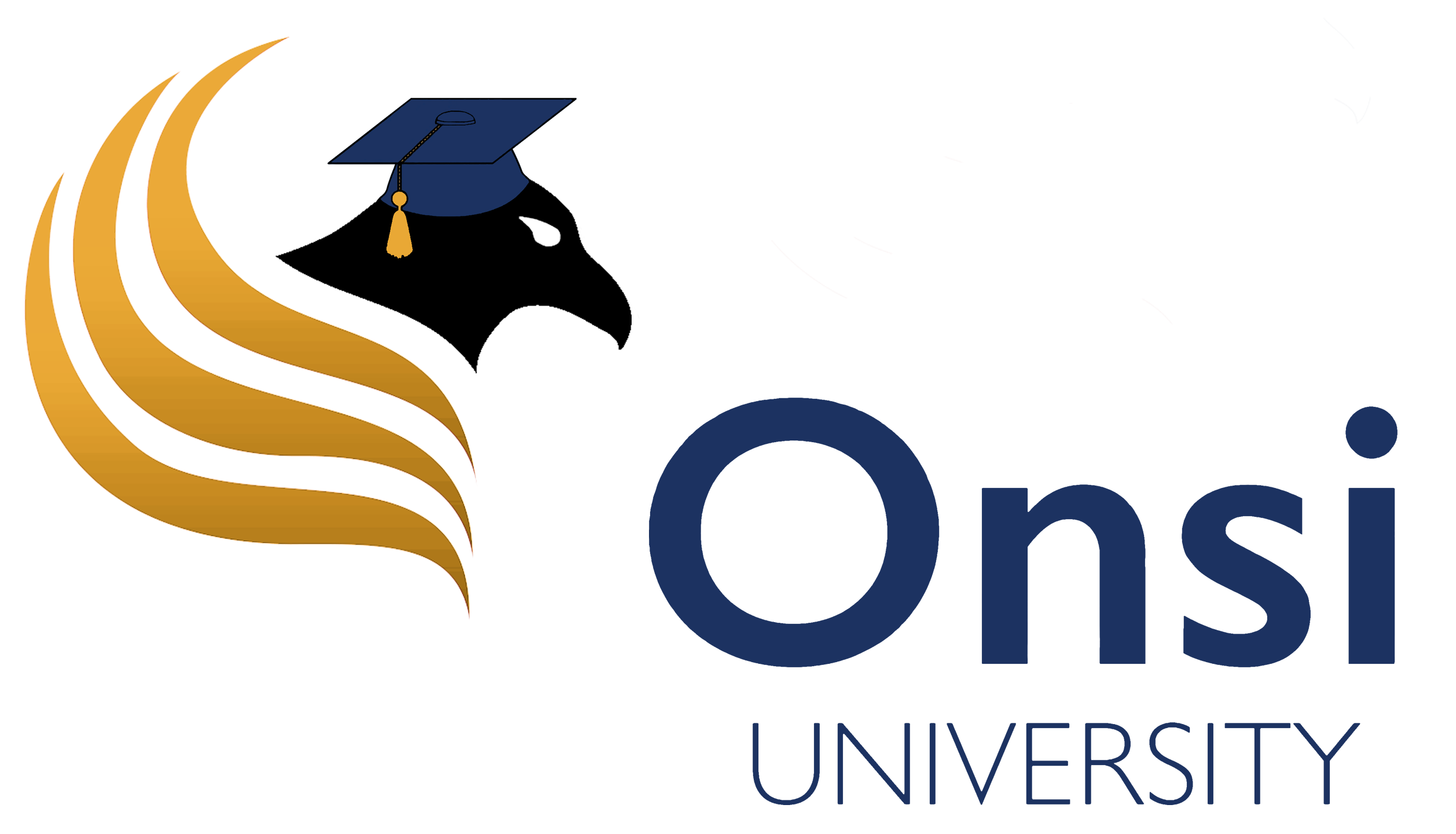 Onsi University